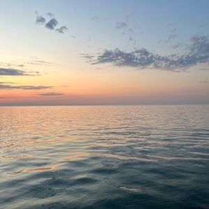 Meet your Posher, Jacqueline